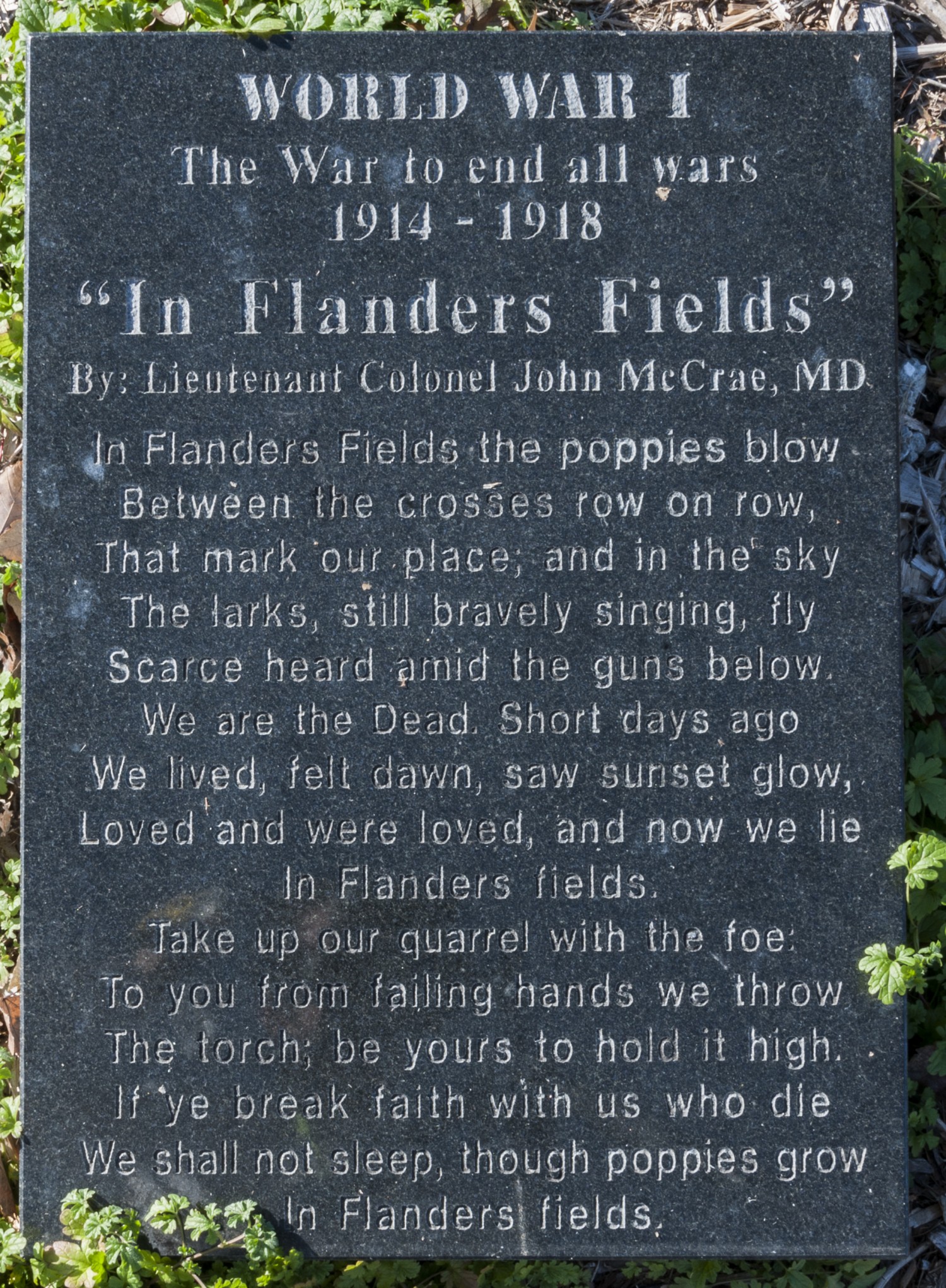 flanders field ww1