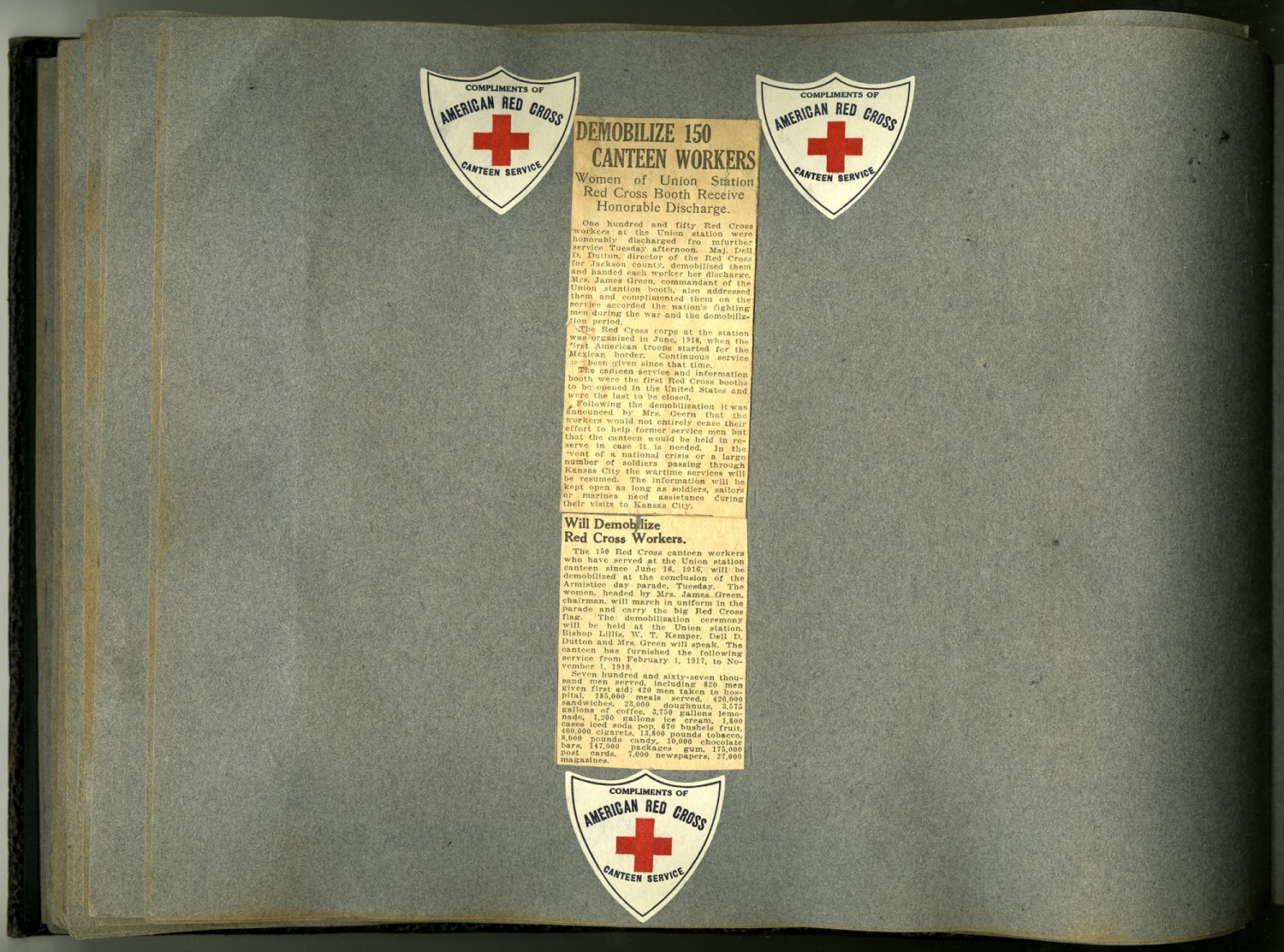 Tribute to the Red Cross Nursing Pin